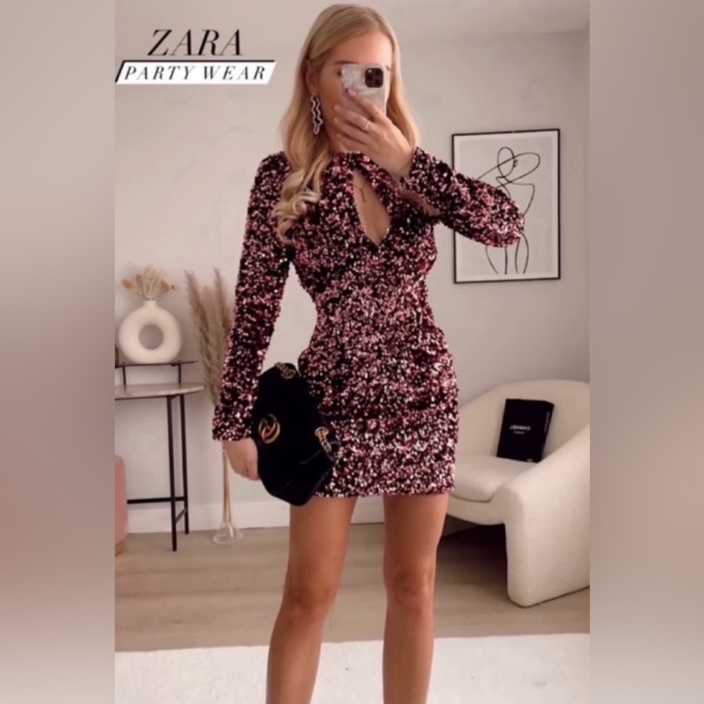 Zara Sequin Pink Velvet Dress